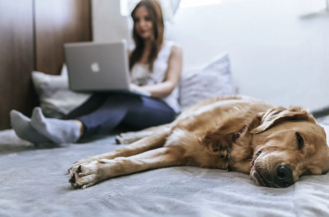 tech smart beds